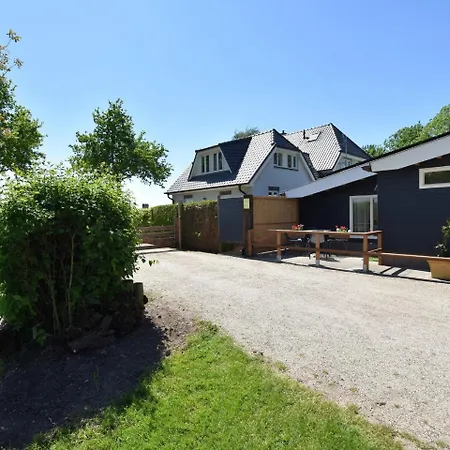 Modern In With Terrace