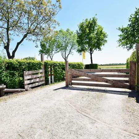 Modern In With Terrace Aerdt
